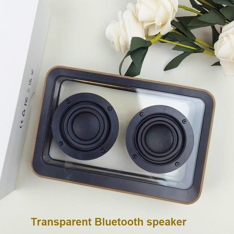 Haut-parleur Bluetooth Transpa - Amazon Music Audio Quality avis et prix